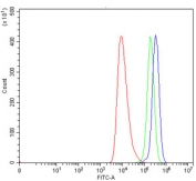 Flow cytometry testing of human HEL cells with ACSM3 antibody at 1ug/million cells (blocked with goat sera); Red=cells alone, Green=isotype control, Blue= ACSM3 antibody.