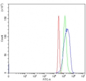 Flow cytometry testing of human HepG2 cells with ACSM3 antibody at 1ug/million cells (blocked with goat sera); Red=cells alone, Green=isotype control, Blue= ACSM3 antibody.