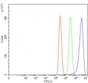 Flow cytometry testing of human MCF7 cells with TSPYL5 antibody at 1ug/million cells (blocked with goat sera); Red=cells alone, Green=isotype control, Blue= TSPYL5 antibody.