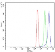 Flow cytometry testing of human SiHa cells with WDR44 antibody at 1ug/million cells (blocked with goat sera); Red=cells alone, Green=isotype control, Blue= WDR44 antibody.