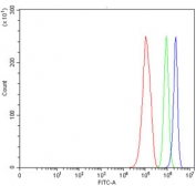Flow cytometry testing of human RT4 cells with TMEM52B antibody at 1ug/million cells (blocked with goat sera); Red=cells alone, Green=isotype control, Blue= TMEM52B antibody.