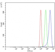 Flow cytometry testing of human PC-3 cells with WNT7A antibody at 1ug/million cells (blocked with goat sera); Red=cells alone, Green=isotype control, Blue= WNT7A antibody.