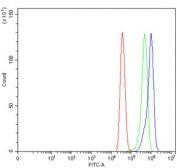 Flow cytometry testing of human MCF7 cells with FERMT2 antibody at 1ug/million cells (blocked with goat sera); Red=cells alone, Green=isotype control, Blue= Kindlin 2 antibody.