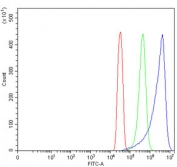 Flow cytometry testing of human SiHa cells with TRAIP antibody at 1ug/million cells (blocked with goat sera); Red=cells alone, Green=isotype control, Blue= TRAIP antibody.