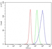 Flow cytometry testing of human 293T cells with TRMT6 antibody at 1ug/million cells (blocked with goat sera); Red=cells alone, Green=isotype control, Blue= TRMT6 antibody.