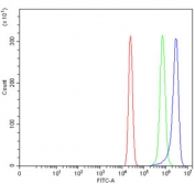 Flow cytometry testing of human U-2 OS cells with WIPF3 antibody at 1ug/million cells (blocked with goat sera); Red=cells alone, Green=isotype control, Blue= WIPF3 antibody.