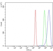 Flow cytometry testing of human U-2 OS cells with SAGE1 antibody at 1ug/million cells (blocked with goat sera); Red=cells alone, Green=isotype control, Blue= SAGE1 antibody.