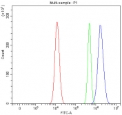 Flow cytometry testing of fixed and permeabilized human Ramos cells with Target of EGR1 protein 1 antibody at 1ug/million cells (blocked with goat sera); Red=cells alone, Green=isotype control, Blue= Target of EGR1 protein 1 antibody.