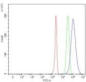 Flow cytometry testing of human HepG2 cells with SERPINC1 antibody at 1ug/million cells (blocked with goat sera); Red=cells alone, Green=isotype control, Blue= SERPINC1 antibody.