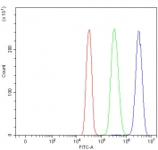 Flow cytometry testing of human SiHa cells with SF3a60 antibody at 1ug/million cells (blocked with goat sera); Red=cells alone, Green=isotype control, Blue= SF3a60 antibody.