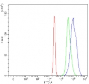Flow cytometry testing of human HL-60 cells with RASSF2 antibody at 1ug/million cells (blocked with goat sera); Red=cells alone, Green=isotype control, Blue= RASSF2 antibody.