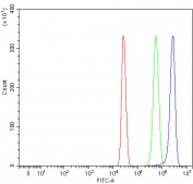 Flow cytometry testing of human HepG2 cells with RNF216 antibody at 1ug/million cells (blocked with goat sera); Red=cells alone, Green=isotype control, Blue= RNF216 antibody.