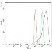 Flow cytometry testing of human PC-3 cells with NHERF-2 antibody at 1ug/million cells (blocked with goat sera); Red=cells alone, Green=isotype control, Blue= NHERF-2 antibody.