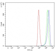 Flow cytometry testing of human A549 cells with GOLGA1 antibody at 1ug/million cells (blocked with goat sera); Red=cells alone, Green=isotype control, Blue= GOLGA1 antibody.