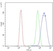 Flow cytometry testing of human 293T cells with Integrin alpha 8 antibody at 1ug/million cells (blocked with goat sera); Red=cells alone, Green=isotype control, Blue= Integrin alpha 8 antibody.