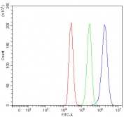 Flow cytometry testing of human MCF7 cells with Sorting nexin 9 antibody at 1ug/million cells (blocked with goat sera); Red=cells alone, Green=isotype control, Blue= Sorting nexin 9 antibody.