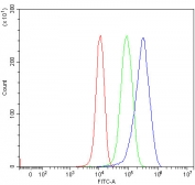 Flow cytometry testing of human U-87 MG cells with Nesprin 3 antibody at 1ug/million cells (blocked with goat sera); Red=cells alone, Green=isotype control, Blue= Nesprin 3 antibody.