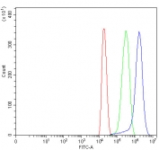 Flow cytometry testing of mouse HEPA1-6 cells with Antigen peptide transporter 1 antibody at 1ug/million cells (blocked with goat sera); Red=cells alone, Green=isotype control, Blue= Antigen peptide transporter 1 antibody.