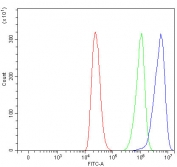 Flow cytometry testing of human ThP-1 cells with Hamartin antibody at 1ug/million cells (blocked with goat sera); Red=cells alone, Green=isotype control, Blue= Hamartin antibody.