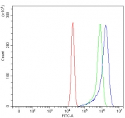 Flow cytometry testing of human U-2 OS cells with smgGDS antibody at 1ug/million cells (blocked with goat sera); Red=cells alone, Green=isotype control, Blue= smgGDS antibody.