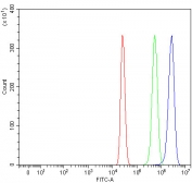 Flow cytometry testing of human HepG2 cells with RIOK3 antibody at 1ug/million cells (blocked with goat sera); Red=cells alone, Green=isotype control, Blue= RIOK3 antibody.