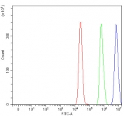 Flow cytometry testing of human MCF7 cells with RANBP2 antibody at 1ug/million cells (blocked with goat sera); Red=cells alone, Green=isotype control, Blue= RANBP2 antibody.