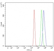 Flow cytometry testing of human HepG2 cells with TMEM104 antibody at 1ug/million cells (blocked with goat sera); Red=cells alone, Green=isotype control, Blue= TMEM104 antibody.
