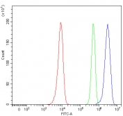 Flow cytometry testing of human HeLa cells with RBM14 antibody at 1ug/million cells (blocked with goat sera); Red=cells alone, Green=isotype control, Blue= RBM14 antibody.