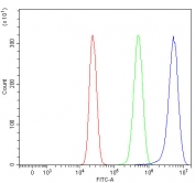 Flow cytometry testing of human HepG2 cells with Girdin antibody at 1ug/million cells (blocked with goat sera); Red=cells alone, Green=isotype control, Blue= Girdin antibody.