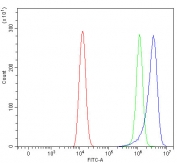 Flow cytometry testing of human HEL cells with Regulator of G-protein signaling 9 antibody at 1ug/million cells (blocked with goat sera); Red=cells alone, Green=isotype control, Blue= Regulator of G-protein signaling 9 antibody.