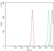 Flow cytometry testing of human K562 cells with Relaxin 3 antibody at 1ug/million cells (blocked with goat sera); Red=cells alone, Green=isotype control, Blue= Relaxin 3 antibody.