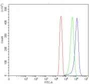 Flow cytometry testing of human SiHa cells with TMEM132A antibody at 1ug/million cells (blocked with goat sera); Red=cells alone, Green=isotype control, Blue= TMEM132A antibody.