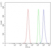 Flow cytometry testing of mouse ANA-1 cells with OGFr antibody at 1ug/million cells (blocked with goat sera); Red=cells alone, Green=isotype control, Blue= OGFr antibody.