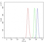 Flow cytometry testing of fixed and permeabilized human HeLa cells with RTCB antibody at 1ug/million cells (blocked with goat sera); Red=cells alone, Green=isotype control, Blue= RTCB antibody.