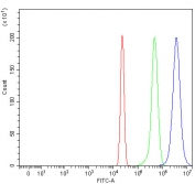 Flow cytometry testing of human HepG2 cells with RTEL1 antibody at 1ug/million cells (blocked with goat sera); Red=cells alone, Green=isotype control, Blue= RTEL1 antibody.