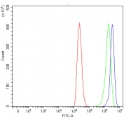 Flow cytometry testing of human ThP-1 cells with RUFY4 antibody at 1ug/million cells (blocked with goat sera); Red=cells alone, Green=isotype control, Blue= RUFY4 antibody.