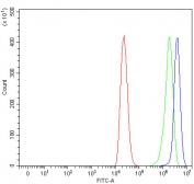 Flow cytometry testing of human ThP-1 cells with SUCLA2 antibody at 1ug/million cells (blocked with goat sera); Red=cells alone, Green=isotype control, Blue= SUCLA2 antibody.