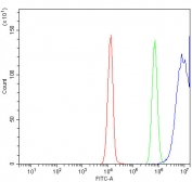 Flow cytometry testing of human Jurkat cells with Ki67 antibody at 1ug/million cells (blocked with goat sera); Red=cells alone, Green=isotype control, Blue= Ki67 antibody.