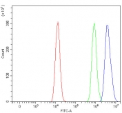 Flow cytometry testing of human HEL cells with PATL2 antibody at 1ug/million cells (blocked with goat sera); Red=cells alone, Green=isotype control, Blue= PATL2 antibody.