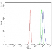 Flow cytometry testing of human U-2 OS cells with RUFY2 antibody at 1ug/million cells (blocked with goat sera); Red=cells alone, Green=isotype control, Blue= RUFY2 antibody.