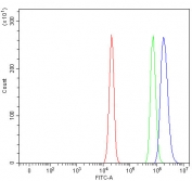 Flow cytometry testing of human U-2 OS cells with PAX5 antibody at 1ug/million cells (blocked with goat sera); Red=cells alone, Green=isotype control, Blue= PAX5 antibody.