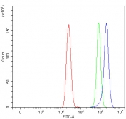 Flow cytometry testing of human MCF7 cells with OXSM antibody at 1ug/million cells (blocked with goat sera); Red=cells alone, Green=isotype control, Blue= OXSM antibody.