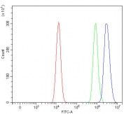 Flow cytometry testing of human HEL cells with OPLAH antibody at 1ug/million cells (blocked with goat sera); Red=cells alone, Green=isotype control, Blue= OPLAH antibody.