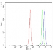 Flow cytometry testing of fixed and permeabilized human Daudi cells with ONECUT1 antibody at 1ug/million cells (blocked with goat sera); Red=cells alone, Green=isotype control, Blue= ONECUT1 antibody.