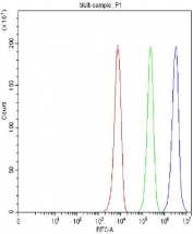 Flow cytometry testing of fixed and permeabilized human HepG2 cells with 40S ribosomal protein S14 antibody at 1ug/million cells (blocked with goat sera); Red=cells alone, Green=isotype control, Blue= 40S ribosomal protein S14 antibody.