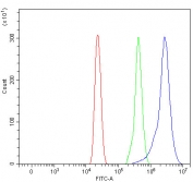 Flow cytometry testing of human Caco-2 cells with PLC-delta-3 antibody at 1ug/million cells (blocked with goat sera); Red=cells alone, Green=isotype control, Blue= PLC-delta-3 antibody.