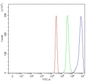 Flow cytometry testing of human U937 cells with OGDHL antibody at 1ug/million cells (blocked with goat sera); Red=cells alone, Green=isotype control, Blue= OGDHL antibody.