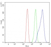 Flow cytometry testing of human SiHa cells with OLFML2B antibody at 1ug/million cells (blocked with goat sera); Red=cells alone, Green=isotype control, Blue= OLFML2B antibody.