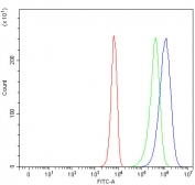 Flow cytometry testing of human K562 cells with FAS-associated factor 1 antibody at 1ug/million cells (blocked with goat sera); Red=cells alone, Green=isotype control, Blue= FAS-associated factor 1 antibody.