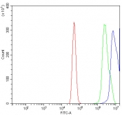 Flow cytometry testing of human A431 cells with MAFG antibody at 1ug/million cells (blocked with goat sera); Red=cells alone, Green=isotype control, Blue= MAFG antibody.